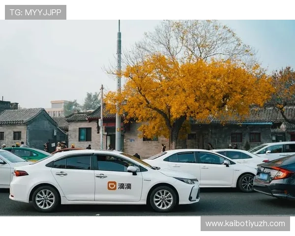 九州体育会员制度详解让你享受专属权益和个性化服务体验