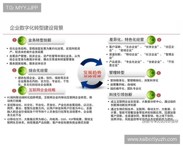 三亿体育在推动体育产业数字化转型中的关键作用与未来发展策略